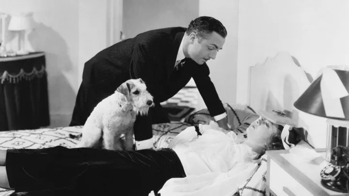 Царство зверей